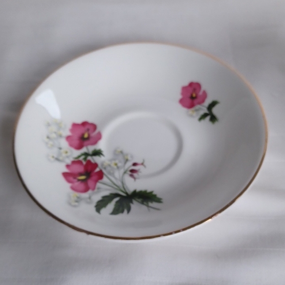 Vintage Royal Stuart Spencer Stevenson England Bone China Cup & Saucer - Picture 3 of 12